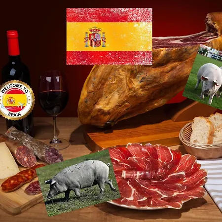 Martin 2024 Alicante